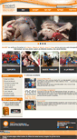 Mobile Screenshot of encert.org